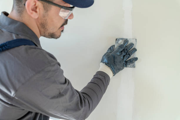 Best Mold Remediation for Vacation Homes  in USA